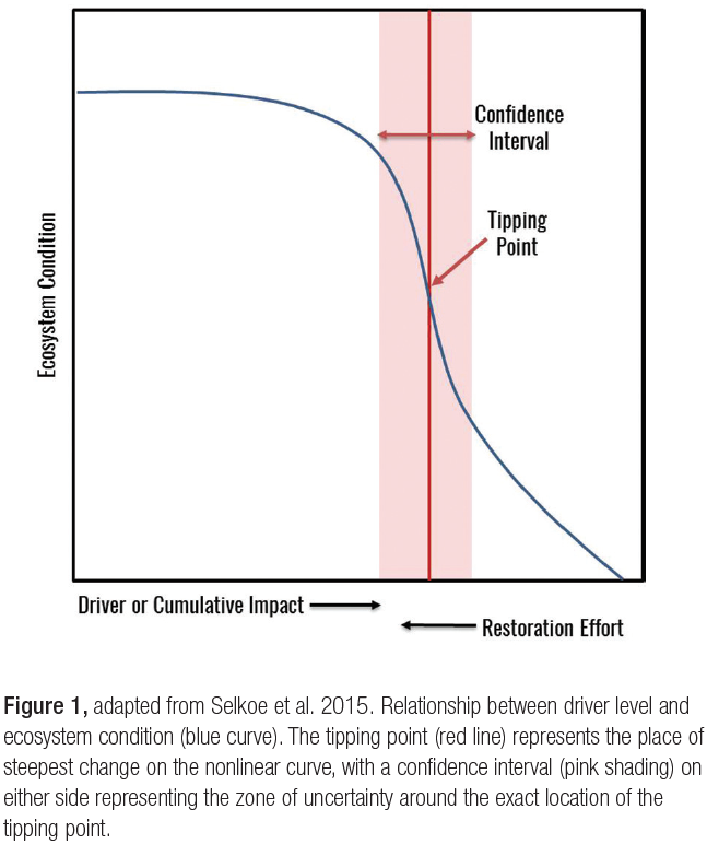 How close is the  tipping point? Forest loss in the east changes the  equation