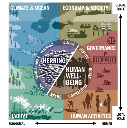 Case Study: Haida Gwaii | Ocean Tipping Points