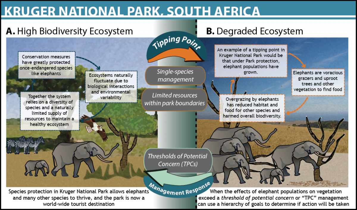 Kruger National Park, South Africa | Ocean Tipping Points